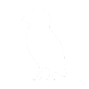 Puffin